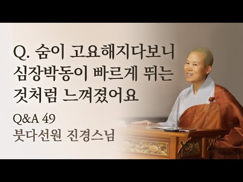 숨이 고요해지다보니깐 심장박동이 빠르게 뛰는 것처럼 느껴졌어요ㅣ붓다선원 진경스님ㅣ2022년 법문 