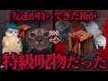 【実話】友達が特級呪物を持ってきた話【猫ミーム】