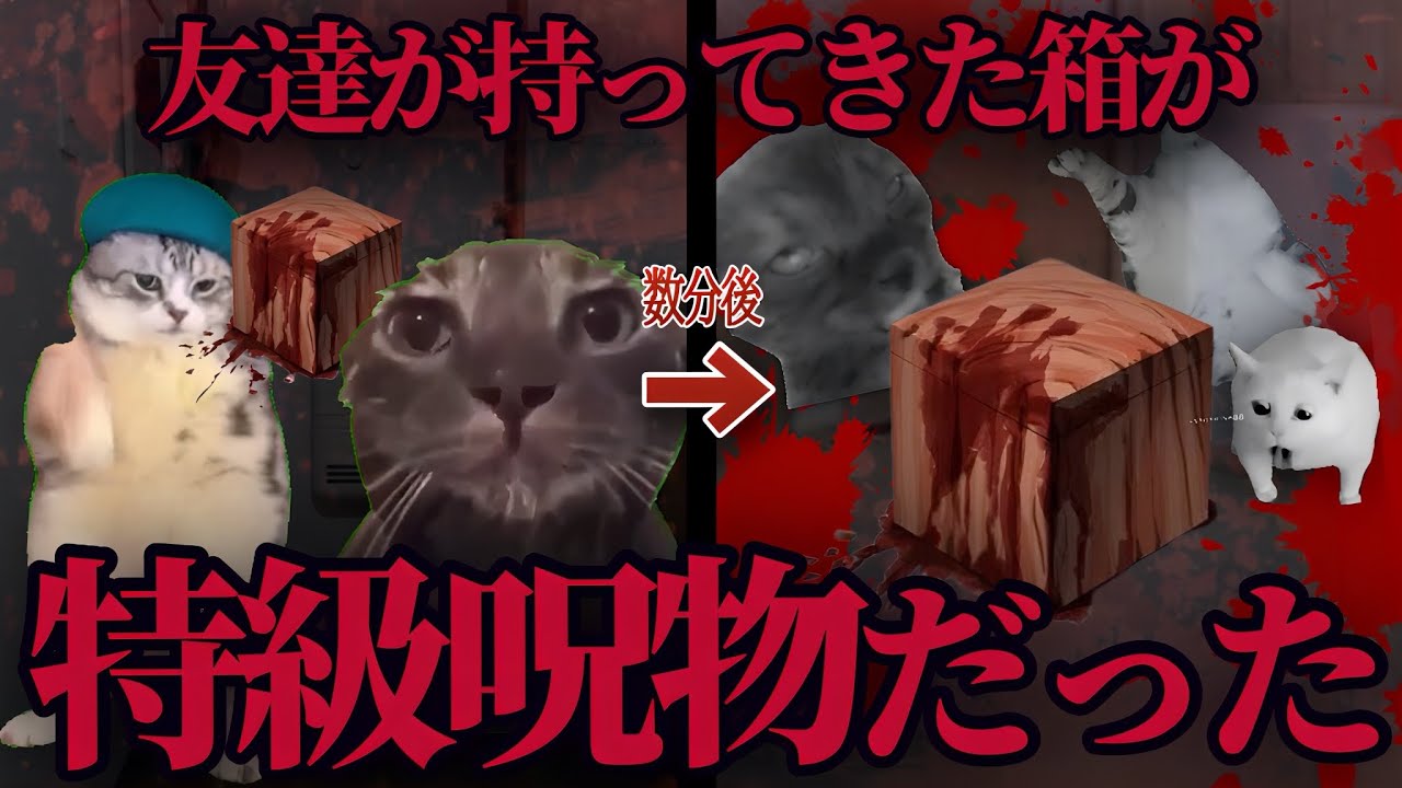 【実話】友達が特級呪物を持ってきた話【猫ミーム】