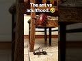 The ant vs adulthood #shorts  #funny  #memes  #comedy  #Relatable #viral #funnyanimals #foryou
