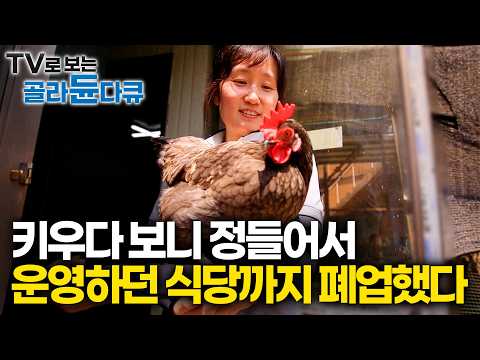 Raised with care, they’re in a class of their own: A couple so in love with their chickens that t...