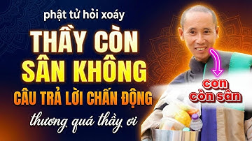 🔴 Bị Phật Tử Hỏi Xoáy "Thầy Còn Sân Không?", Sư Minh Tuệ Mỉm Cười Trả Lời Khiến Ai Cũng Nể Phục.