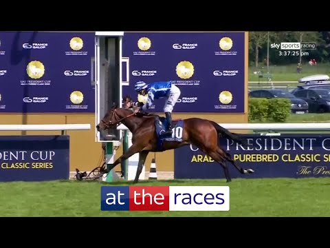 Video: På 1000 guineas?