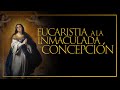 Solemnidad de la Inmaculada Concepción, P. Rigoberto Rivera, Arquidiócesis de Manizales.
