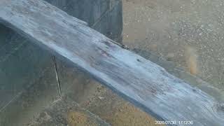 DSCF0002