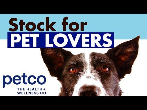 Video: Petco's Dog Days of Summer Colpisce casa corse a San Diego