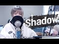 BTS(방탄소년단) - 'Shadow' COVER by 새송｜SAESONG