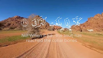 تلاوة عطرة - سورة القيامة - للقارئ الشيخ حاتم المالكي ❤️