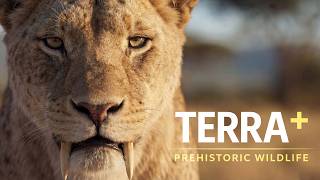 Terra+ - AI Teaser for a fictional TV programm