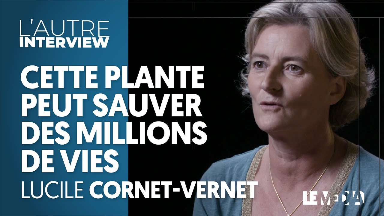Cette plante pourrait sauver des millions de vies