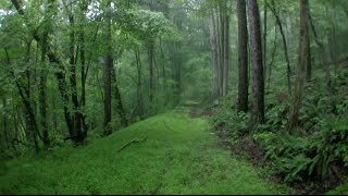 Filming Locations - The Evil Dead