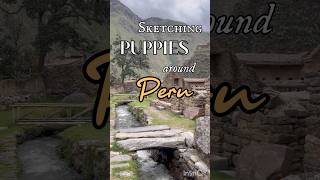 Sketching Puppies around Peru #shorts