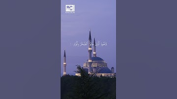 سورة الفجر{1-14} القارئ ياسر الدوسري #ياسر_الدوسري