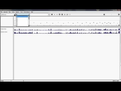 How to add Mitochondrial Gene Annotations to IGV