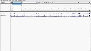 Celebrity How to add Mitochondrial Gene Annotations to IGV Net Worth