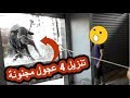 تنزيل 4 عجول مجنونة