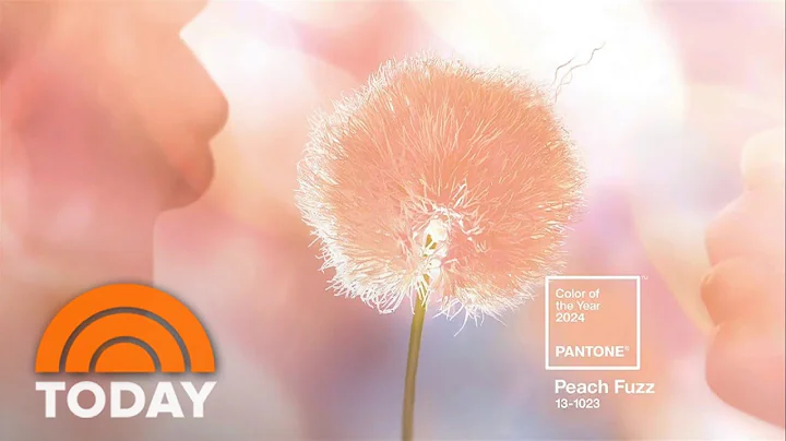 The 2024 Pantone color of the year is… - DayDayNews