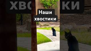 Как у них дела? #тароюлияпетрова #таро #юлияпетрова