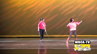 BCA IDA 2015 - Chinese Performance