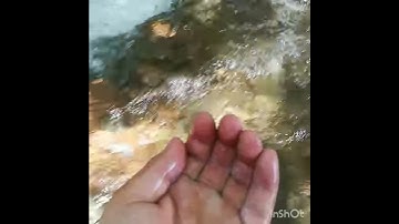 سورة الرحمان بصوت المعتصم الحميدي. قرغيزيا - آسيا الوسطى.