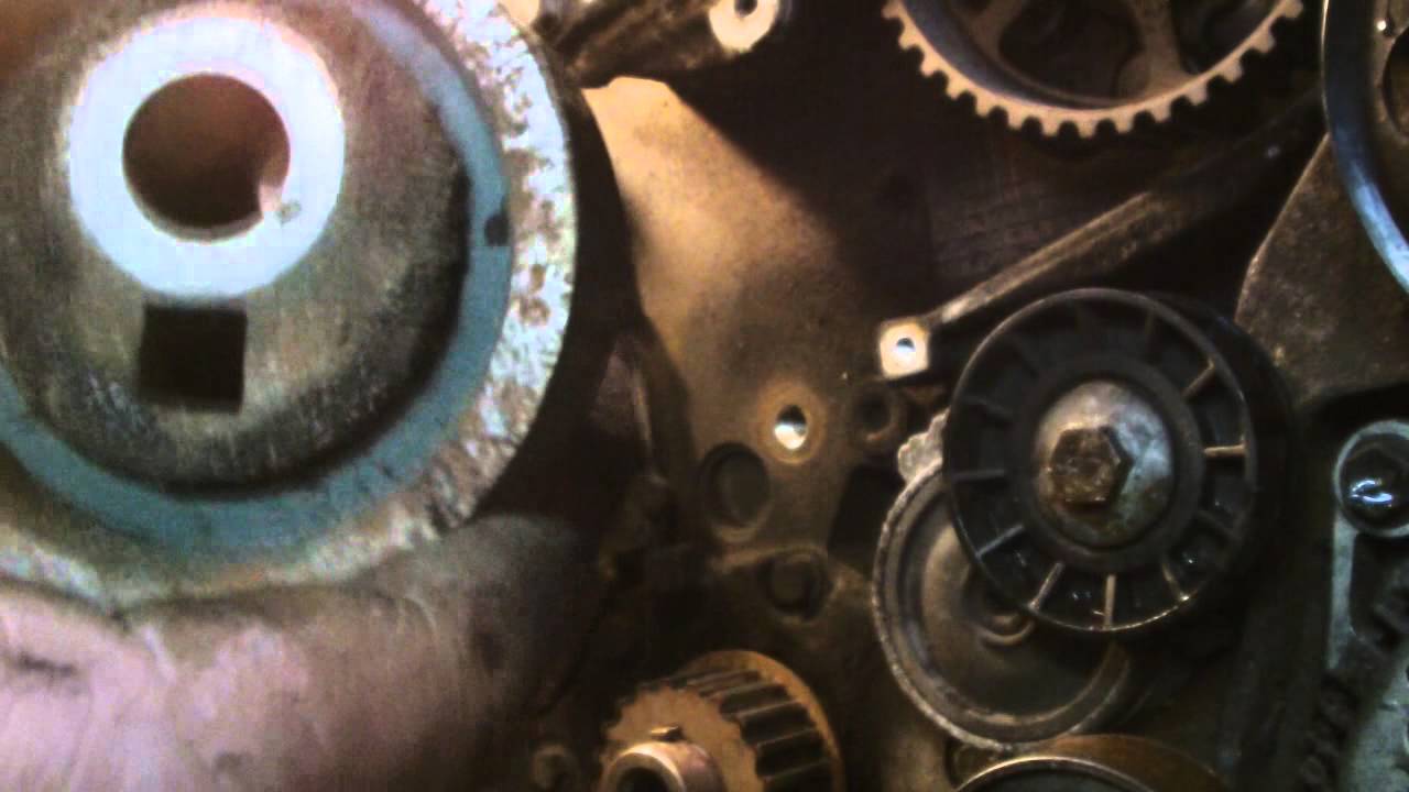 2.0 hdi timing belt