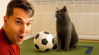 I Trained My Cat To Be A Goalkeeper... And Hes Actually Good