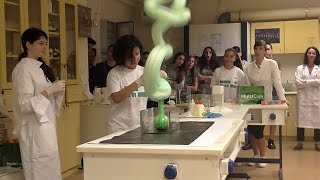 11 Fascinating Chemistry Experiments (Compilation)
