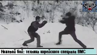 Ножевой бой. Корейский военно-морской спецназ. Ножевой бой. Корейский военно-морской спецназ.