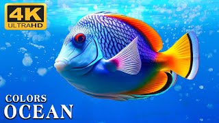 The Best 4K Aquarium - The Colors of the Ocean, The Sound Of Nature