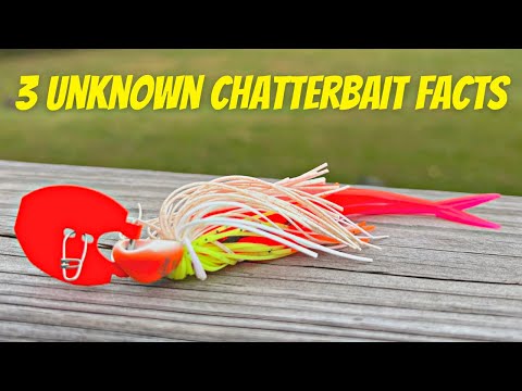 3 Unknown Facts About Chatterbait Fishing! 