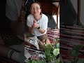 How to play music on your house plants? Eloise shows how to setup it up using Playtron #playtronica