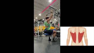 Neutral Grip Lat Pulldown
