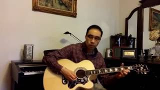 Video thumbnail of "Hagood Hardy - The Homecoming - Bolin Guitar"