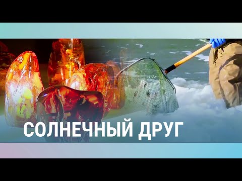 Солнечный друг: литовские секреты добычи янтаря