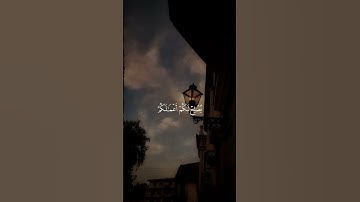 #وكان_عند_الله_وجيها🌿#سورة_الاحزاب#قرآن#المصحف#محمد_اللحيدان #اكسبلور