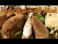 اسعار الغنم - الخرفان فى سوق المواشى بدمنهور البحيرة الاحد 18/4/2021