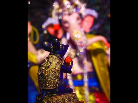 Ganpati  Bappa 🌺🙏 | Happy Ganesh Chaturthi Status | Ganpati Bappa Status | Ganpati Bappa Morya