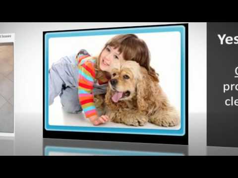 Ruskin Carpet Cleaning : steam | deep scrub | $29 per Room | FL