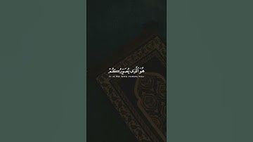 سورة ال عمران#عبدالرحمن_مسعد #قران_كريم #quran #allah