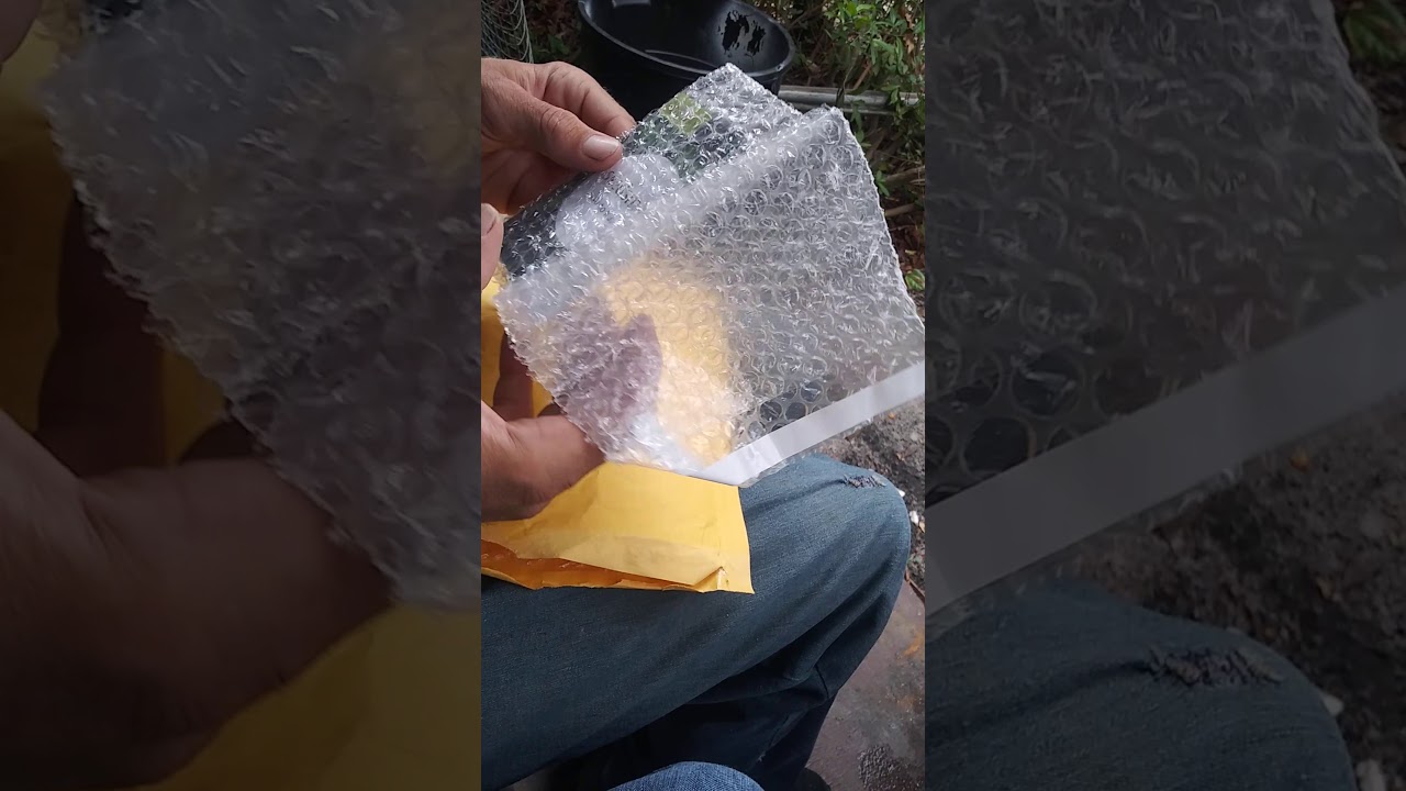 Seedsman Seeds buying cannabis seeds online.