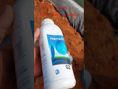 تسميد للتنشيط الجدور 