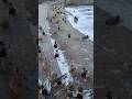 Winters Life 🧬 #viral #video #duck #travel #lifeisbutadream #shortvideo #shorts  #trending #reels