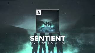 Video thumbnail of "Mr FijiWiji & Tülpa - Sentient"