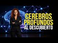 Descifrando la IA: Cómo Entienden las Redes Neuronales Profundas (DQNs)