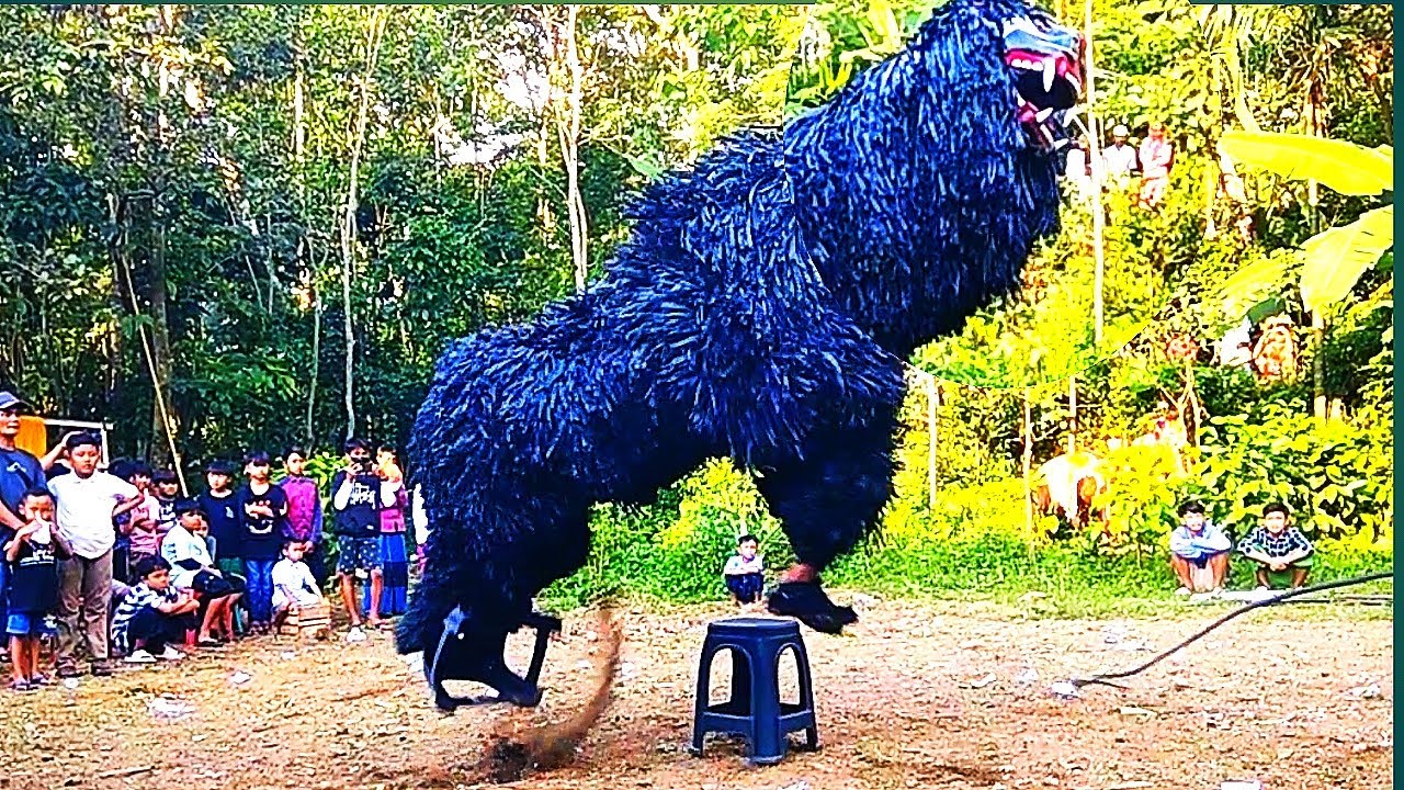 Ini MACAN BA LAKEK diiringi DRUMBAND ba lakek kejar salto salto guling guling makan penonton