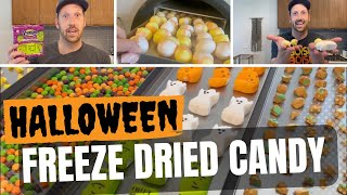 FreezeDried Candy for Halloween | FreezeDried Peeps, Skittles, Candy Corn & Caramel Apple Taffy