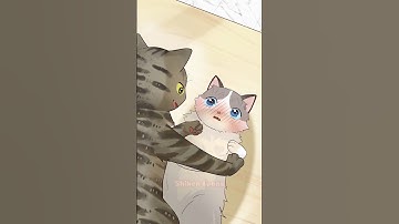 Is Appearance That Important? #animation #cute #shorts