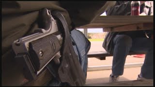 Ohio senate votes to allow concealed carry of guns without training or background checks