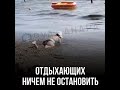 АНАПА - ЖЕСТЬ ИЛИ ОСОБЕННОСТИ ОТДЫХА...