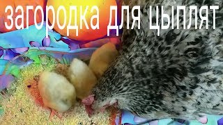 ЗАГОРОДКА ДЛЯ КВОЧКИ...